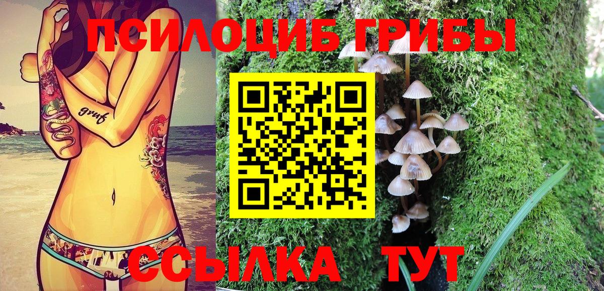 Псилоцибиновые грибы GOLDEN TEACHER Горно-Алтайск