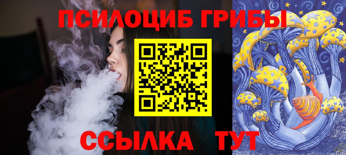 Горно-Алтайск  Псилоцибиновые грибы прущие грибы  Вход с VPN  Галлюциногенные грибы GOLDEN TEACHER 